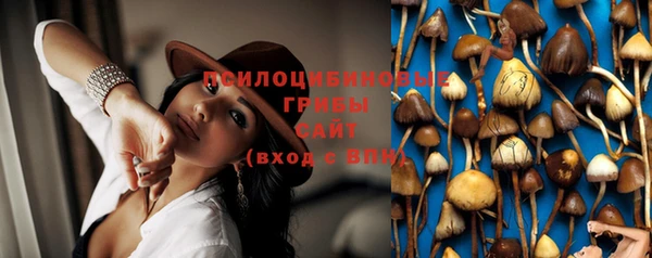ГАЛЛЮЦИНОГЕННЫЕ ГРИБЫ Алзамай