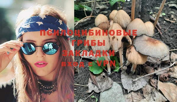 ГАЛЛЮЦИНОГЕННЫЕ ГРИБЫ Алзамай