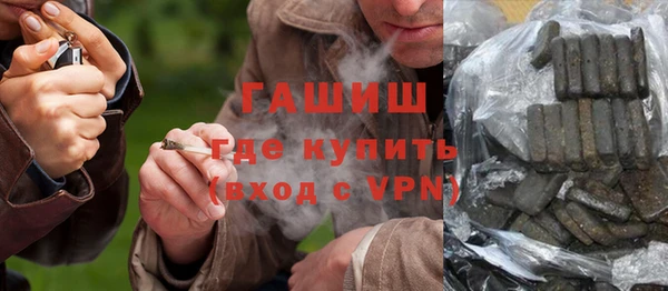 индика Абаза