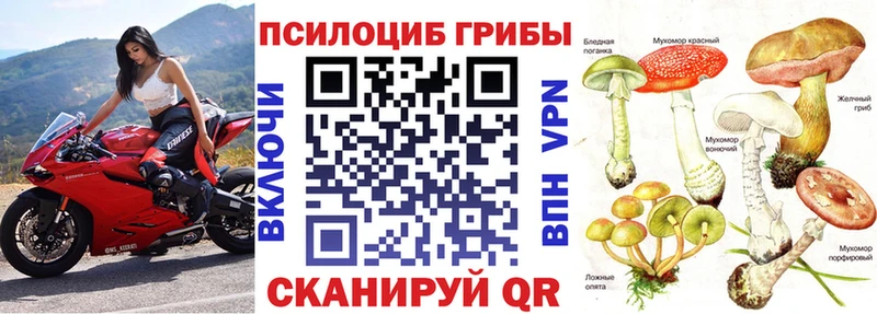 Галлюциногенные грибы Psilocybe  купить наркотики сайты  omg ТОР  Мыски 